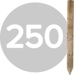 250 cm
