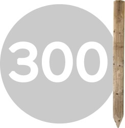 300 cm