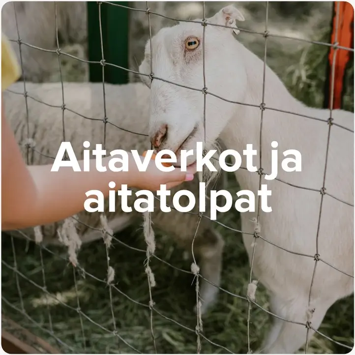 Aitaukset