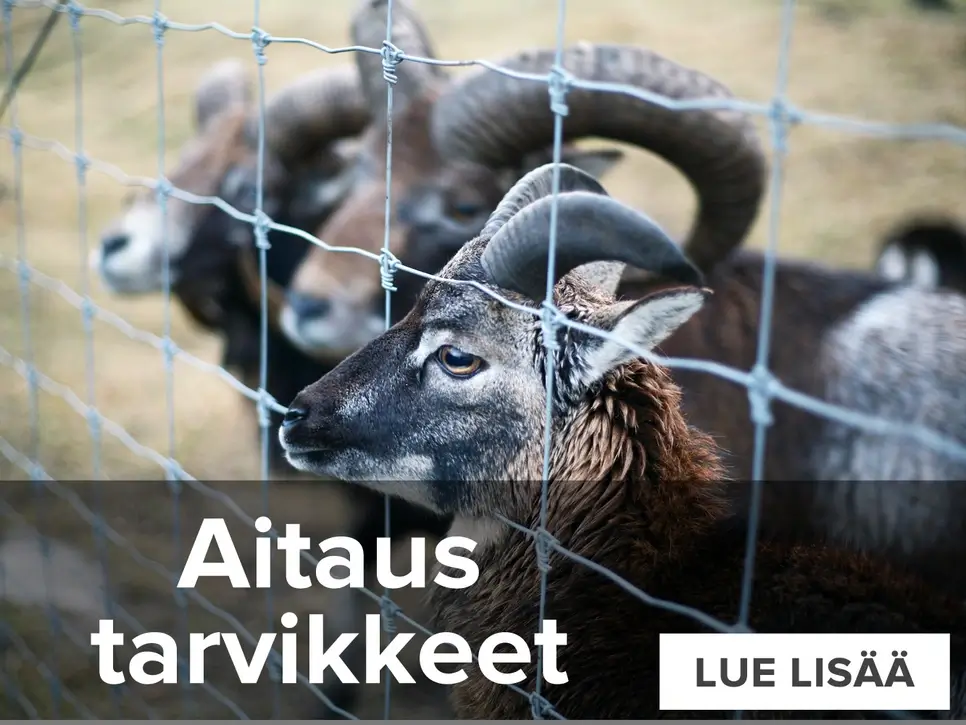 Aitaukset