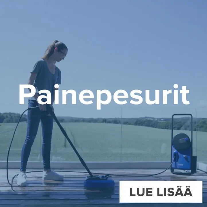 Painepesurit