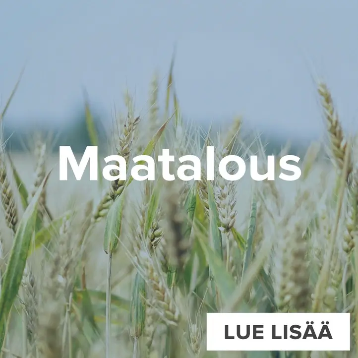 Maatallous