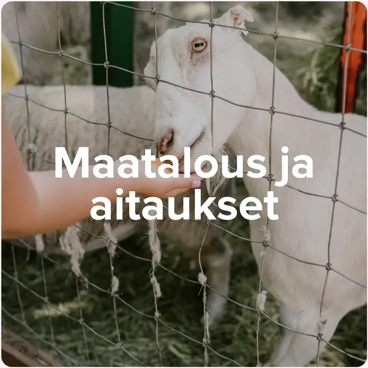 Maatalous ja aitaukset