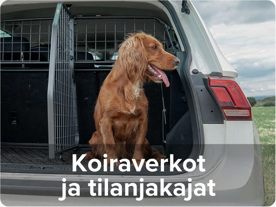 Koiraverkot