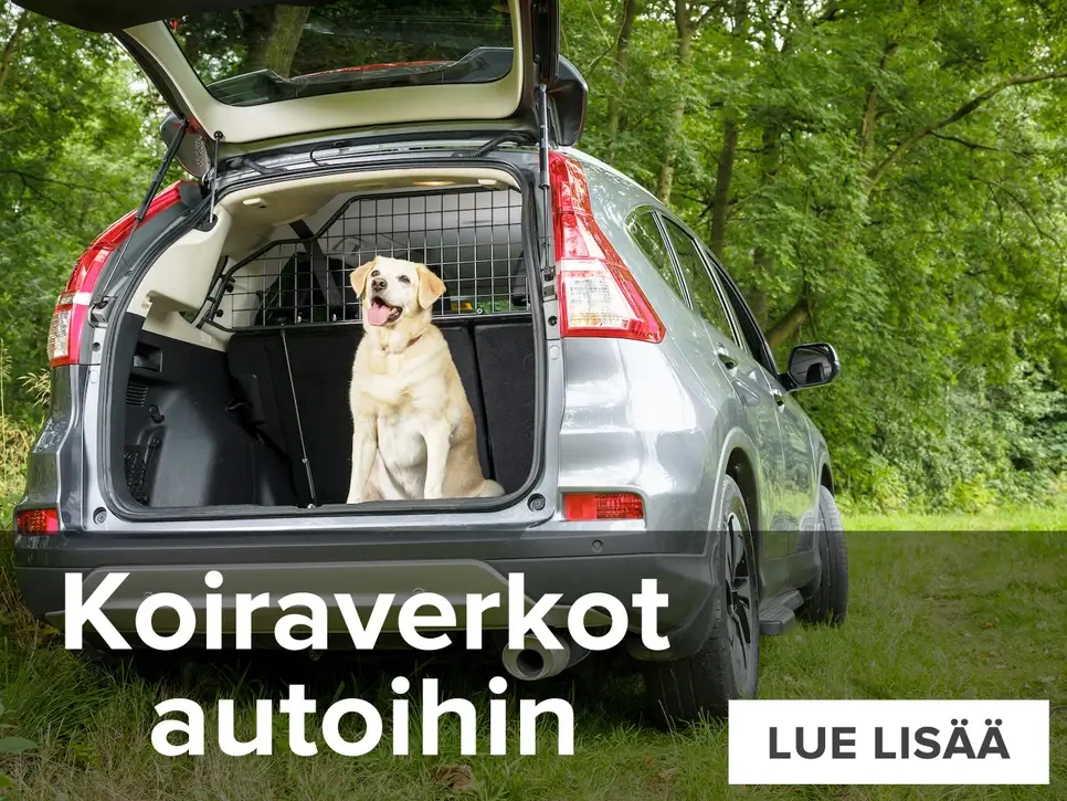 Koiraverkot