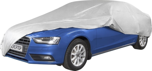 Auton kokopeite Skoda Fabia hatchback (2021-2023), Silvertop