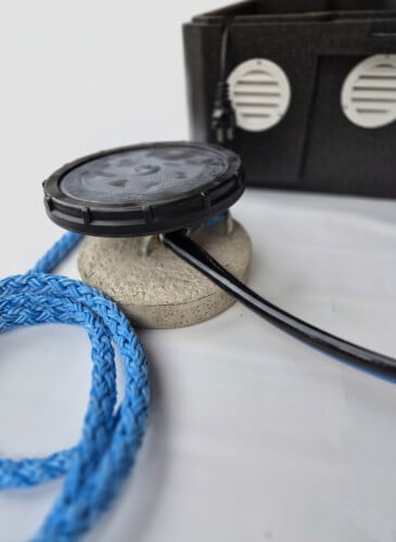 Avannon sulanapitolaite, Bumppu