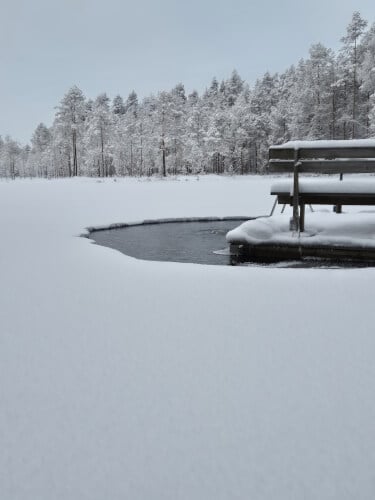 Avannon sulanapitolaite, Bumppu