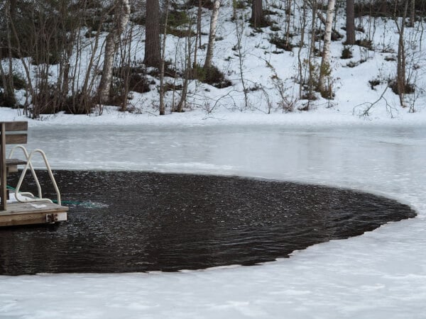 Avannon sulanapitolaite, Bumppu