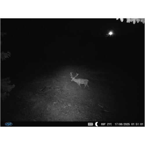 Riistakamera 4G Hunting 400C PRO, PNI