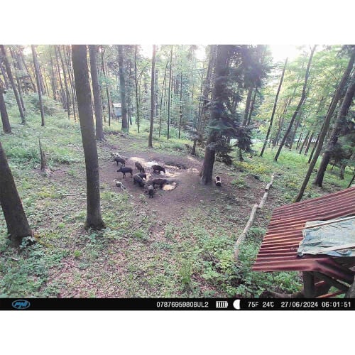 Riistakamera 4G Hunting 400C PRO, PNI