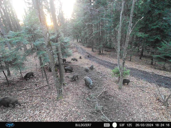 Riistakamera 4G Hunting 400C PRO, PNI