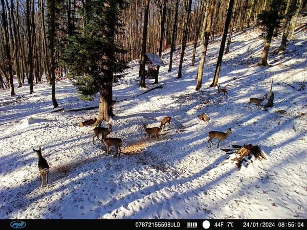 Riistakamera 4G Hunting 400C PRO, PNI