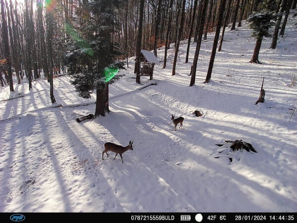 Riistakamera 4G Hunting 400C PRO, PNI