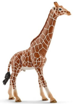 Kirahvi uros, Schleich