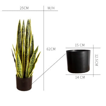 Tekokasvi Anopinkieli 65 cm, Lykke