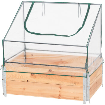 Kasvihuone lavakaulukseen, Tarmo