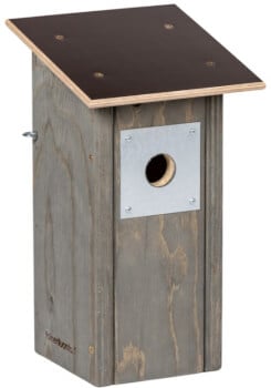 Linnunp&ouml;ntt&ouml; kirjosiepolle, Toinen Luonto