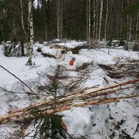 ILKKA E. arvosteli tuotteen Kombikannu bensalle ja öljylle, Jonköping