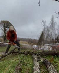 Nelly katariina S. arvosteli tuotteen Akkukäyttöinen moottorisaha 40 V, Jonköping