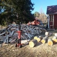 KATJA V. arvosteli tuotteen Halkomakone pystymallinen polttomoottorilla 10 t (70 cm), Jonköping