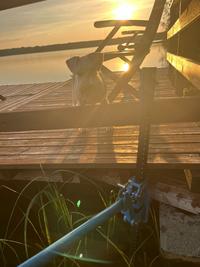 Juha K. arvosteli tuotteen Hammastankotunkki 3000 kg / 120 cm, Geko