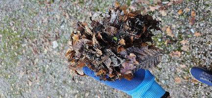 Mikko V. arvosteli tuotteen Vedenpitävät lämpötyökäsineet, Geko